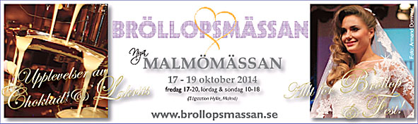 BANNER.MALMO.NY.FEB.